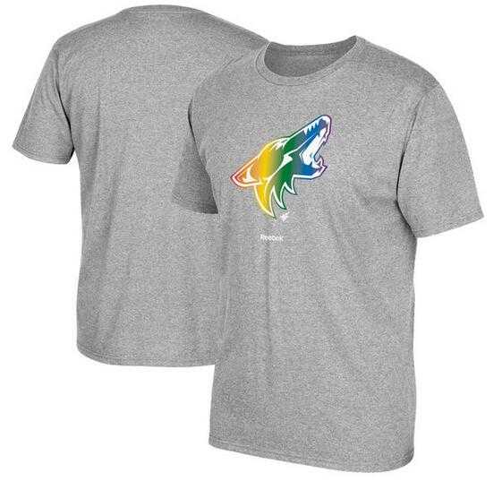 Men's Phoenix Coyotes Gray Reebok Rainbow Pride Short Sleeve T-Shirt FengYun,We sell and wholesale Men's Phoenix Coyotes Gray Reebok Rainbow Pride Short Sleeve T-Shirt FengYun on line form chian!